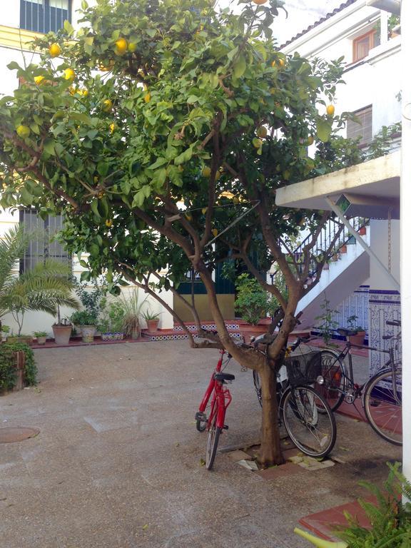 Casas De Sevilla - Apartamento Puente De Triana Exterior foto